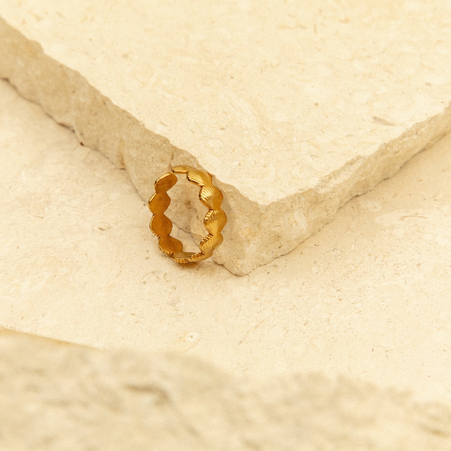 Anillo mini Conchas